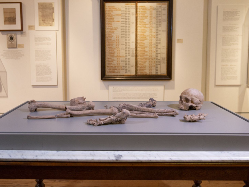Corpus insolite : Jana Sterbak - Guided tour with the curator (French)