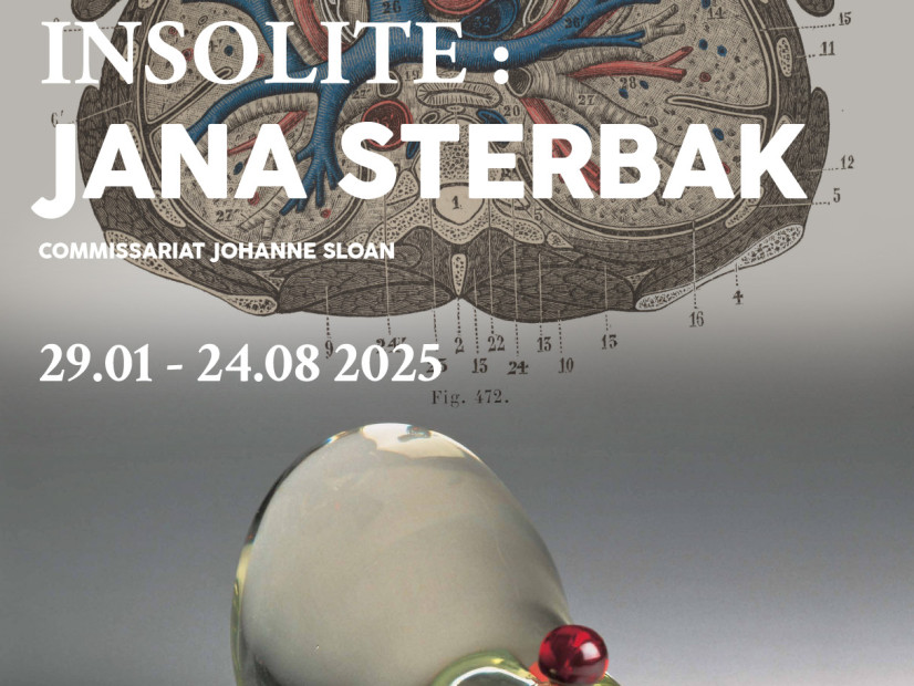 Corpus insolite : Jana Sterbak